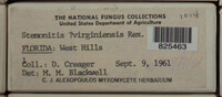 Image Associated With the Occurence